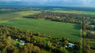 Farm Sold - QLD - Tinana - 4650 - Dryland cropping close to Maryborough CBD