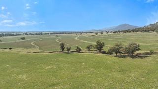 Farm Expressions of Interest - NSW - Gowrie - 2340 - Woodlands