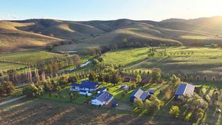 Farm Auction - NSW - Greenlands - 2330 - Upper Hunter prestige property.