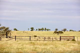 Farm Sold - QLD - Longreach  - 4730 - 'Old Euston' - Strong and healthy CWQ cattle country. 