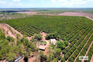 Farm Expressions of Interest - NT - Livingston - 0822 - Established Mango Farm 