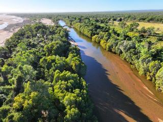 Farm For Sale - QLD - Mount Surprise - 4871 - Large, reliable North Queensland calf factory