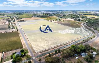 Farm For Sale - VIC - Irymple - 3498 - Irymple Dried Fruit Property - Family owned for 50 Years. 15.5 Hectares (38 Acres) - 1 Title