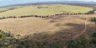 Farm Sold - QLD - Collinsville - 4804 - G.H.P.L.