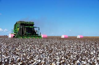 Farm Sold - NSW - Narrabri - 2390 - Premium Irrigation with Water Security