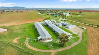Farm Expressions of Interest - NSW -  Bective - 2340 - Renowned North West NSW Commercial Egg Layer Farm 