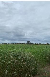 Farm For Sale - QLD - Durong - 4610 - HEAVY MELON HOLE, BELAH AND WILGA COUNTRY, DURONG