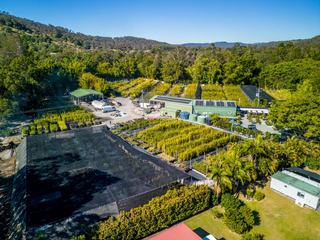 Farm For Sale - QLD - Gold Coast - 4216 - Unique Gold Coast Nursery Business & Land Opportunity