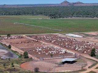 Farm Sold - QLD - Breddan - 4820 - An impressive, integrated Farming, Feedlot and Grazing operation