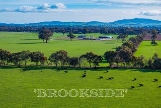 Farm Auction - NSW - Mangoplah - 2652 -
