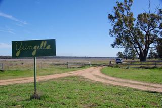 Farm Auction - NSW - Narrabri - 2390 - 