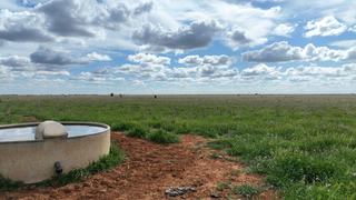 Farm Auction - NSW - Carrathool - 2711 - 