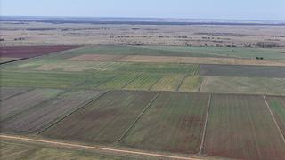 Farm For Sale - NSW - Coleambally - 2707 - Prime Opportunity to add on or start out.