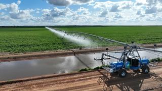 Farm Expressions of Interest - NSW - Conargo - 2710 - Riverina High Calibre Holding