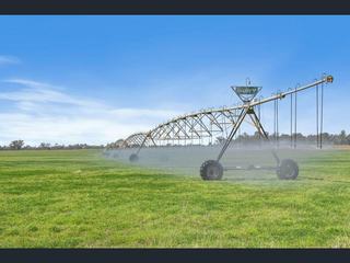 Farm For Sale - QLD - Millmerran - 4357 - “Ellerslie” Farming, Livestock, Irrigation, Abundance of Water Storage – 300 meg Dam