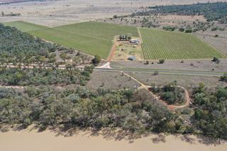 Farm Expressions of Interest - QLD - St George - 4487 - Table grapes, Vegetables and/or Real Estate Opportunity