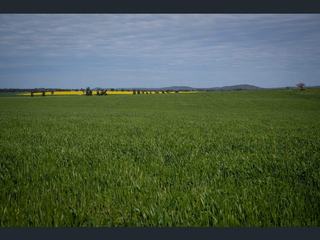 Farm Auction - NSW - Geurie - 2818 - Yeronga