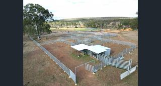 Farm For Sale - QLD - Windera - 4605 - Massive Price Reduction, Quality Irrigation Infastructure 