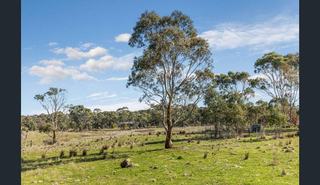 Farm For Sale - VIC - Clunes - 3370 - On a Clear Day, You Can See Forever