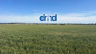 Farm Expressions of Interest - VIC - Nhill - 3418 - Diapur-Yanac Road, Nhill - Highly regarded farming land to be sold in 3 separate contingent lots.