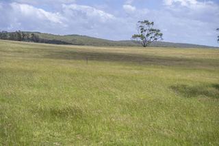 Farm For Sale - TAS - Pipers River - 7252 - Start Your Farming Journey Today