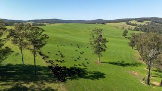 Farm For Sale - NSW - Yarrowitch - 2354 - Jamberoo, Walcha - Yarrowitch: For Sale - Contact Agent 
