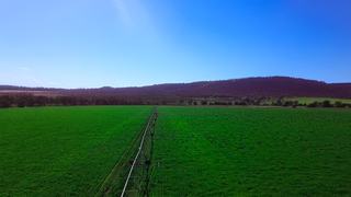 Farm For Sale - NSW - Upper Manilla - 2346 - Production Potential Plus