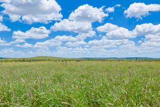 Farm Sold - QLD - Alpha - 4724 -