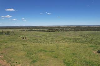 Farm Sold - QLD - Willows - 4702 - ‘Budgawillie’