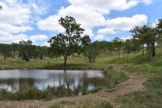 Farm For Sale - QLD - Crows Nest - 4355 - Smoothy's Paddock - 'Quality Crows Nest / Eskdale District Grazing Country' 