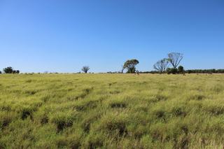 Farm For Sale - QLD - Blackall - 4472 - 'Mt Harden Aggregation' - Scale, Efficiency, Water & Blackall Quality 
