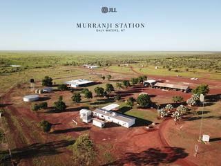 Farm For Sale - NT - Davenport - 0872 - Murranji & Neutral Junction Station | Organic Pastoral Portfolio with Scale 