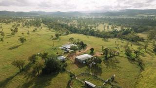 Farm Auction - QLD - Bushley - 4702 - AUCTION – ROCKHAMPTON BREEDER BLOCK