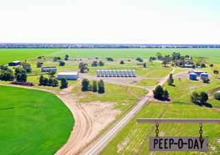 Farm For Sale - NSW - Tottenham - 2873 - Peep-O-Day Tottenham 