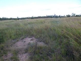 Farm For Sale - QLD - TARA - 4421 - Rural property majority cleared