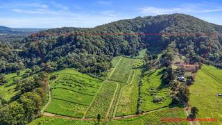 Farm For Sale - QLD - Wilsons Pocket - 4570 - Prime Pastures & Pristine Position – 60 Acres of Fertile Living! 