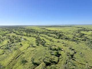 Farm Sold - QLD - Opalton - 4735 - Tulmur Aggregation | Efficient, Low-cost Breeding, Backgrounding and Fattening Enterprise 