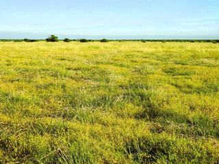 Farm For Sale - QLD - Hughenden - 4821 - Outstanding Grass & Excellent Waters 