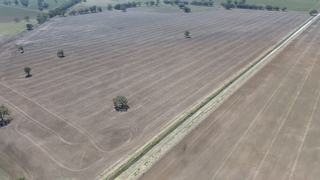 Farm For Sale - NSW - Corinella - 2871 -