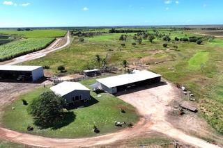 Farm For Sale - QLD - Brandon - 4808 - Irrigated Hay and Cattle Property, Via Ayr