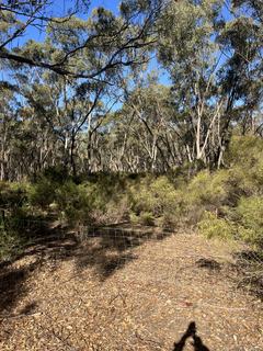 Farm Sold - VIC - Maldon - 3463 - Maldon Bush Haven, Peg Leg Gully