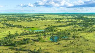 Farm Auction - QLD - Bluff - 4702 - MARKET ACCESS COUPLED WITH GRAZING PRODUCTIVITY AND ENHANCED EFFICIENCY!