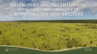 Farm Auction - QLD - Alpha - 4724 - An outstanding opportunity to secure a well-developed and highly productive property