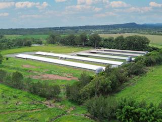 Farm Expressions of Interest - QLD - Walkamin - 4872 - Thriving Agricultural Hub on the Atherton Tablelands – Poultry & Avocado Production with Expansion Potential. 