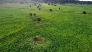 Farm Auction - NSW - Manilla - 2346 - Crescent Hills- location with production
