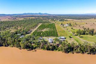 Farm For Sale - QLD - Etna Creek - 4702 - Exceptional small scale high yielding mango farm providing both income and lifestyle!
