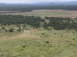Farm For Sale - QLD - Pentland - 4816 - Grazing & Farming Enterprise, Water Allocation, Good infrastructure, Plant & Machinery