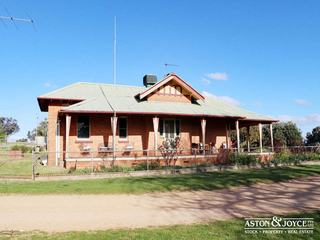 Farm For Sale - NSW - Grenfell - 2810 - Embrace your Agriculture & Lifestyle Dreams