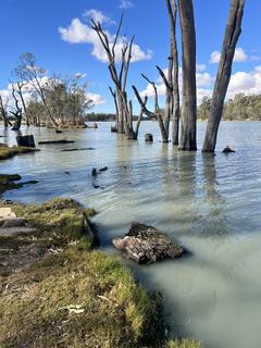 Farm For Sale - SA - SA - RIVER MURRAY - RIVER MURRAY ZONE CLASS 3 (IRRIGATION) - 5000 - SA - RIVER MURRAY - RIVER MURRAY ZONE CLASS 3 (IRRIGATION) 