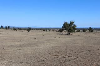 Farm For Sale - QLD - Rolleston - 4702 -